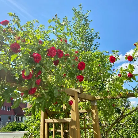 Regenbergblick Apartment Zella-Mehlis