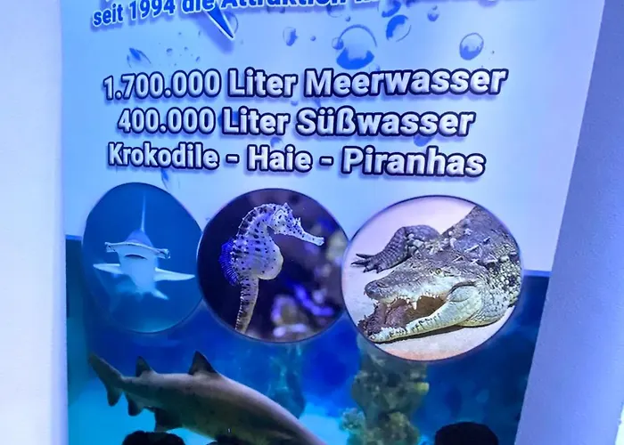 Apartman Regenbergblick Zella-Mehlis