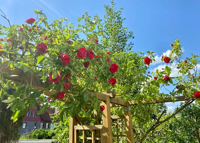 Regenbergblick Apartman Zella-Mehlis